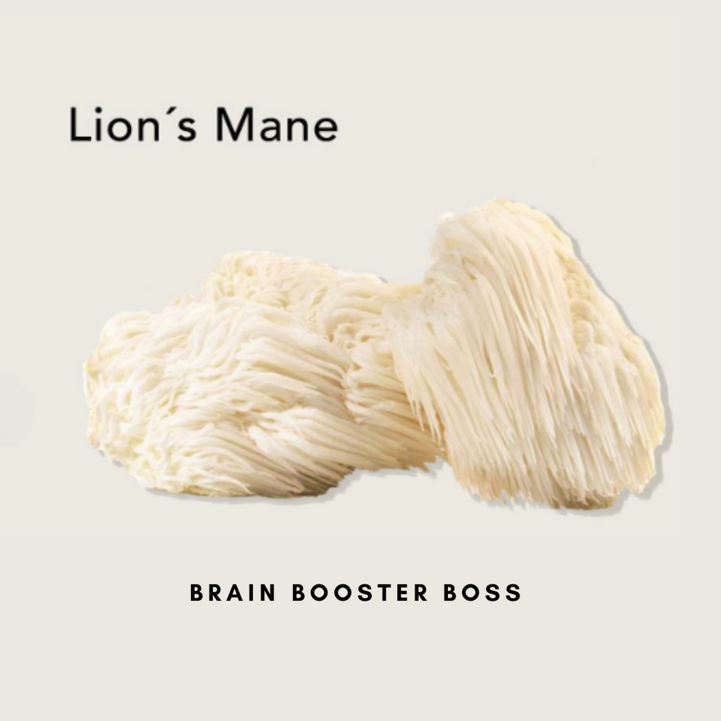 Lions Mane, Functional Adaptogenic Mushroom, NZ Organic