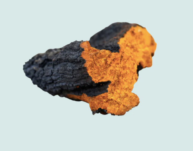 Boost your immunity and supercharge your body's detoxification systems with the amazing powers of chaga!